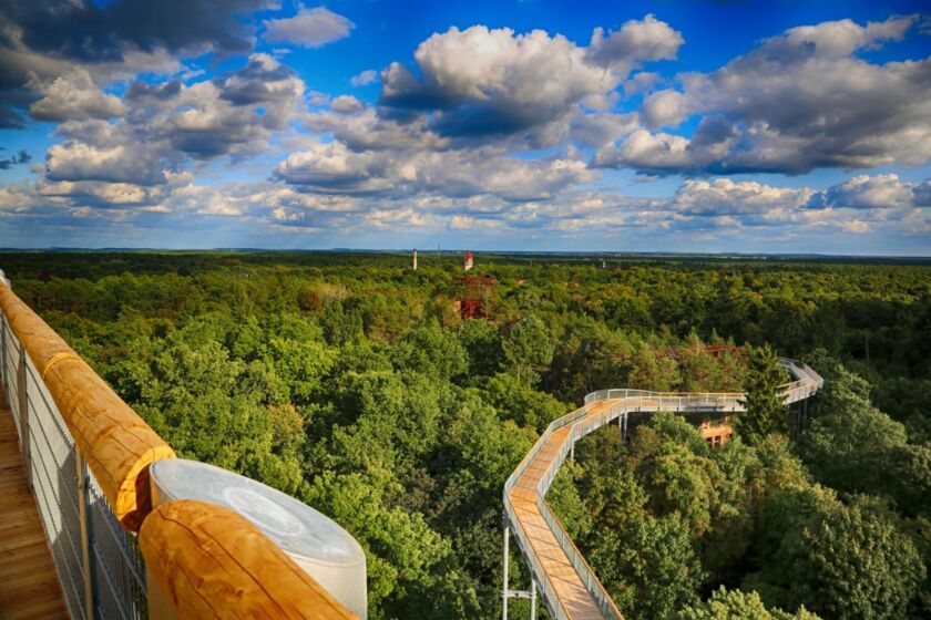 Aussichtsplattform des Baumkronenpfades in Beelitz-Heilstätten © Baum und Zeit