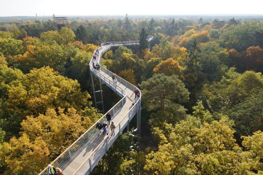 Baumkronenpfad Beelitz Heilstätten © Baum und Zeit