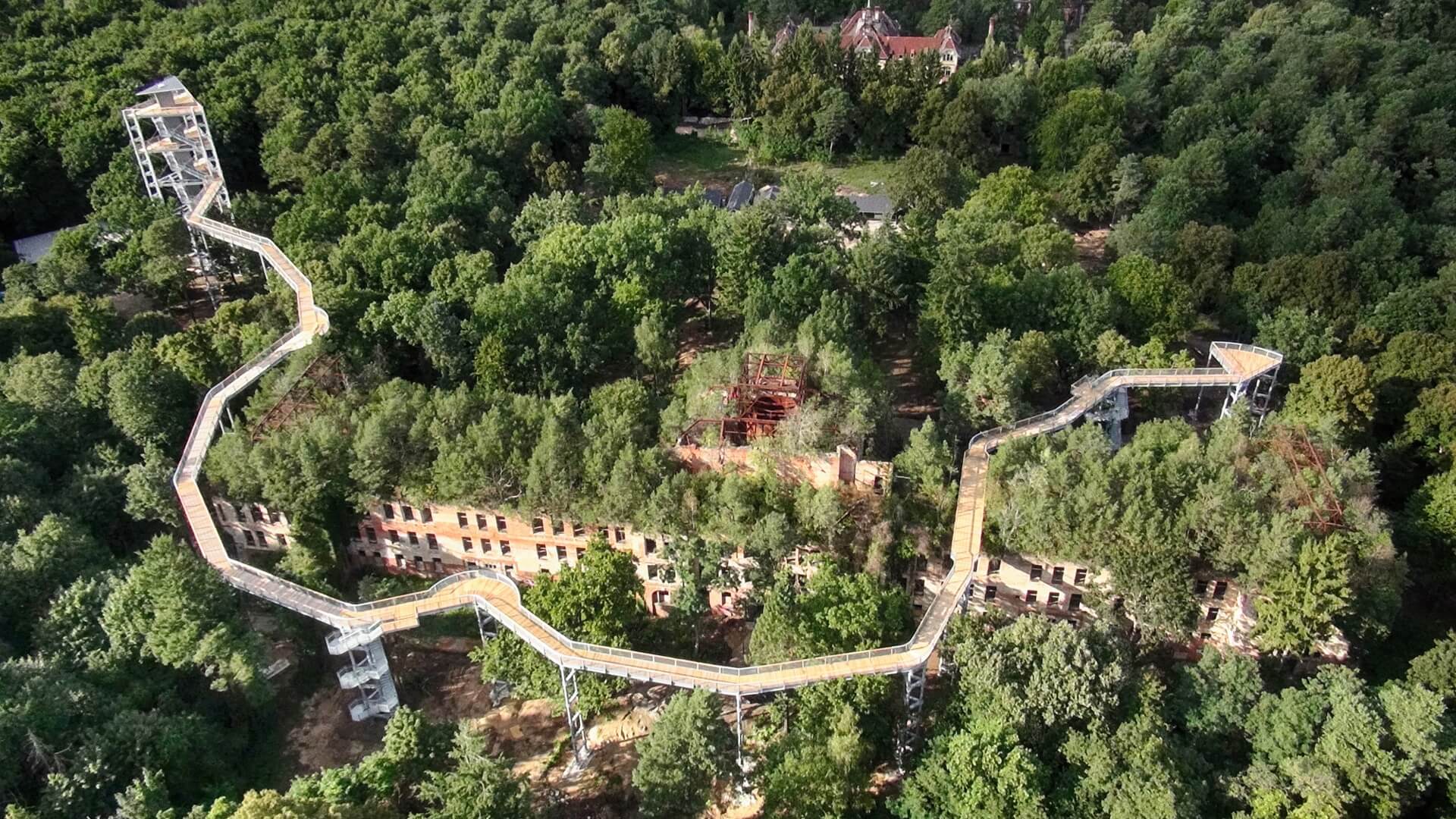 Baumkronenpfad Beelitz Heilstätten © Baum und Zeit