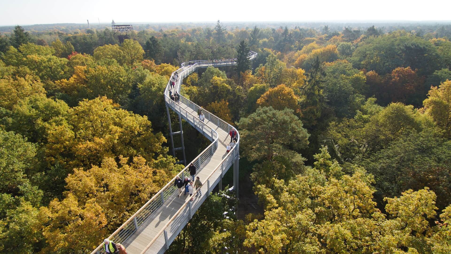 Baumkronenpfad Beelitz Heilstätten © Baum und Zeit