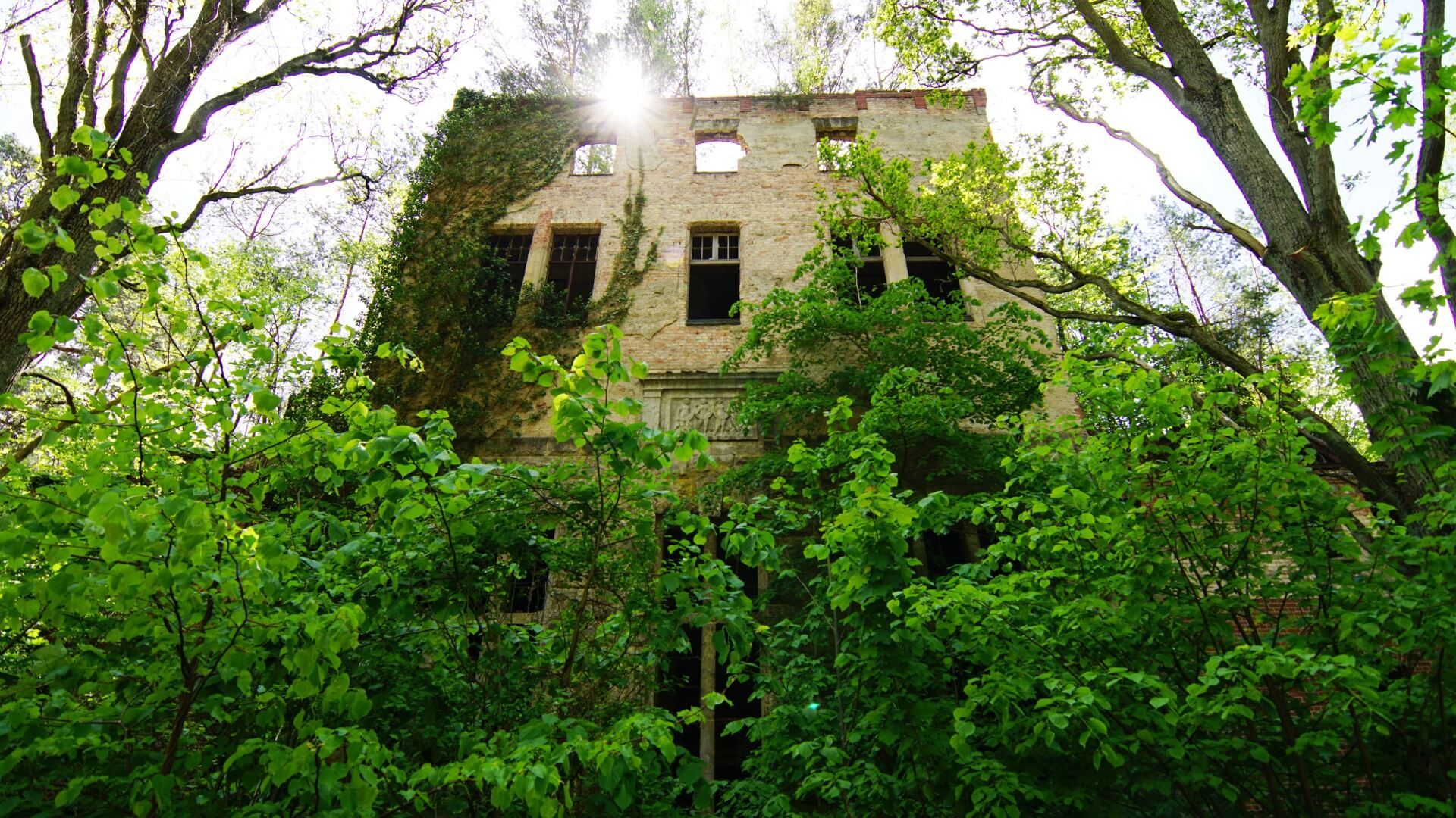 Ruine des Alpenhauses in Beelitz Heilstätten © Baum und Zeit