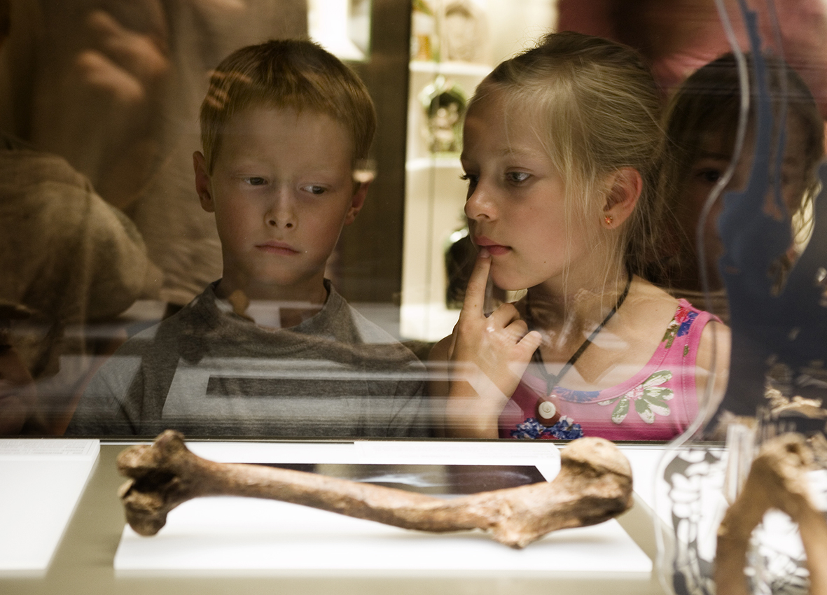Kinder bei einer Ausstellung im Archäologischen Landesmuseum in Brandenburg an der Havel © Fritz Fabert